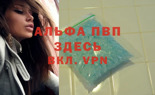 PSILOCYBIN Волоколамск