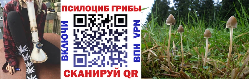 Псилоцибиновые грибы ЛСД  Западная Двина 